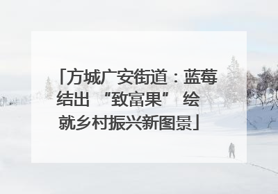 方城广安街道：蓝莓结出 “致富果” 绘就乡村振兴新图景